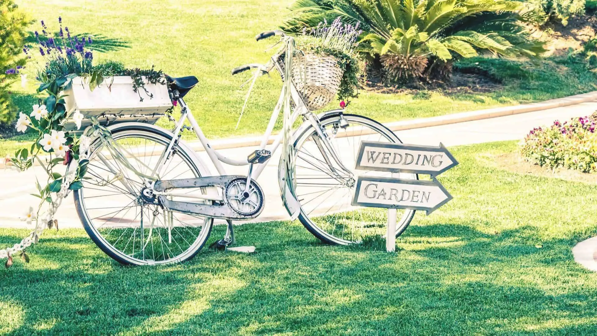 Festival-wedding-met-fiets